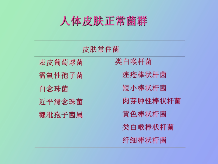 菌群与皮肤病.ppt_第3页