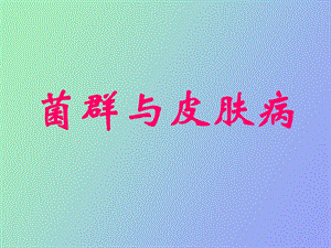 菌群与皮肤病.ppt