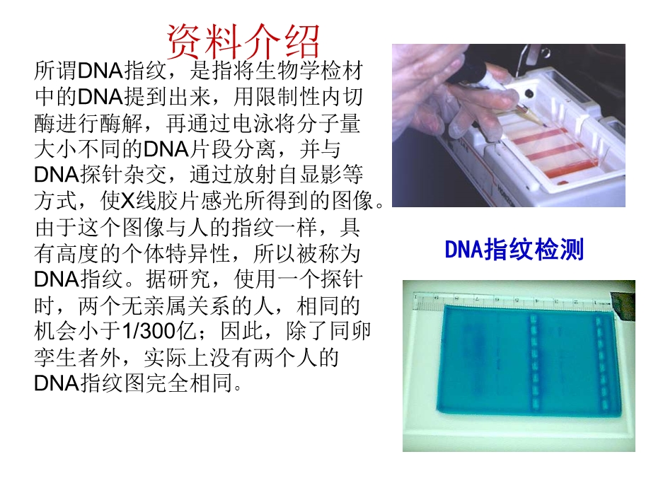 遗传信息携带者核酸.ppt_第2页