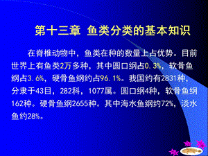 鱼类的基本分类方法.ppt