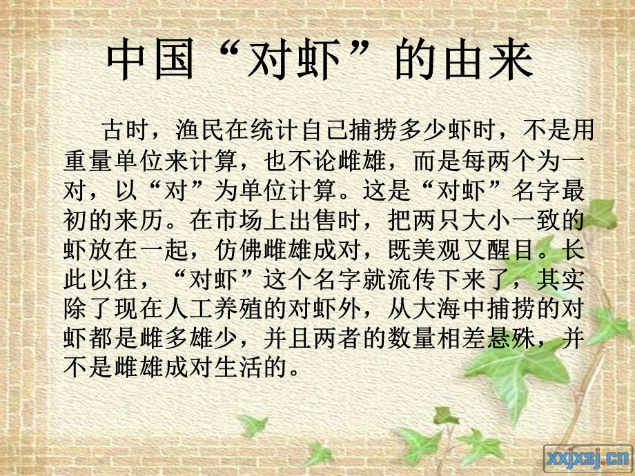 虾蟹的生活史及洄游.ppt_第2页