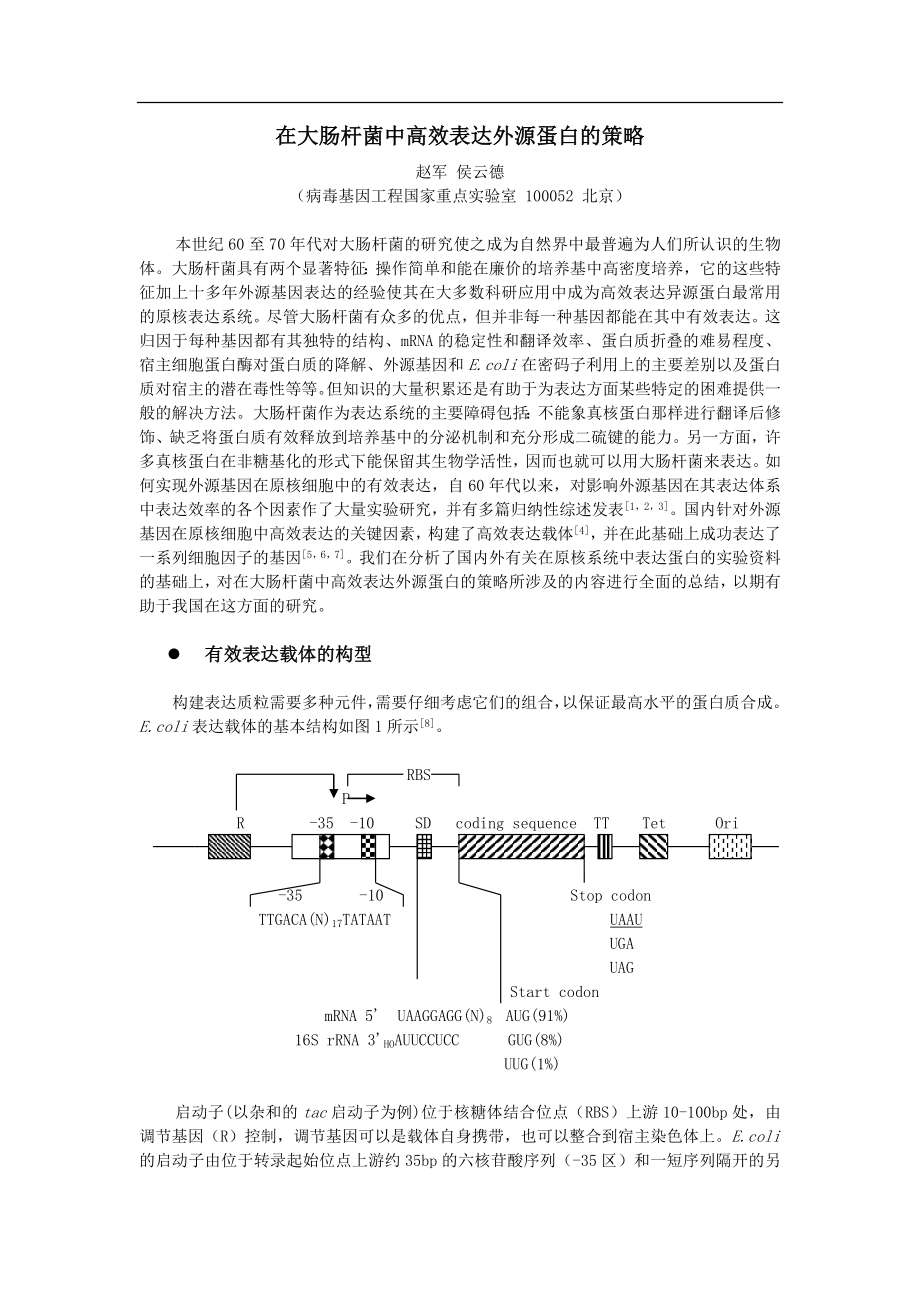 在大肠杆菌中高效表达外源蛋白的策略.doc_第1页