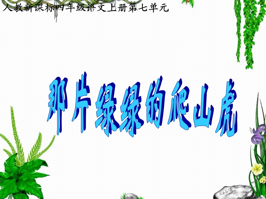 《那片绿绿的爬山虎》教学.ppt_第1页