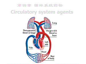 血管紧张素转化酶抑制剂代表药.ppt