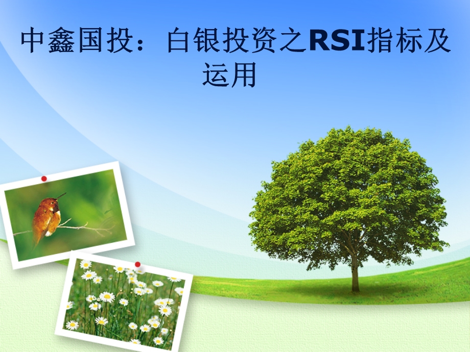 中鑫国投：白银投资之RSI指标及运用.ppt_第1页