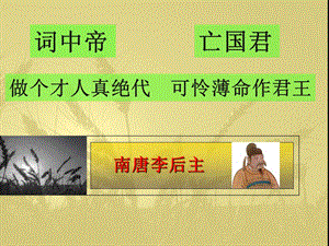 虞美人优秀课件.ppt