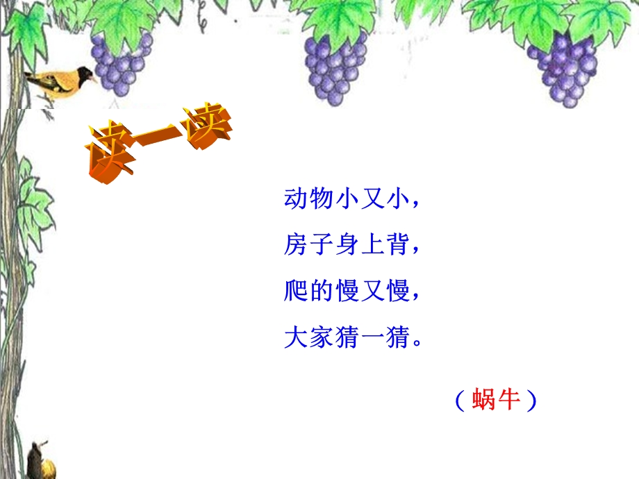 蜗牛与黄鹂鸟课件宁亚娟.ppt_第3页