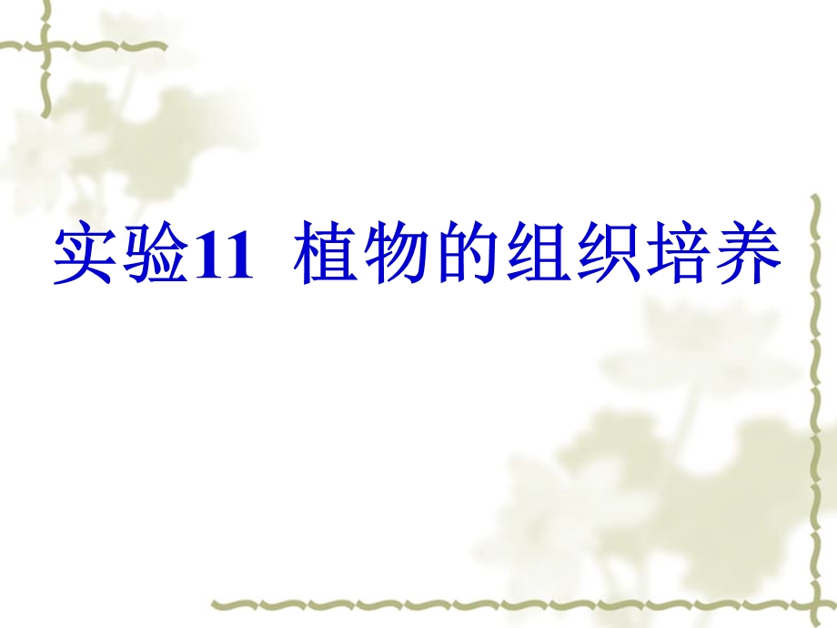 《高三生物复习资料》实验11植物的组织培养.ppt_第1页