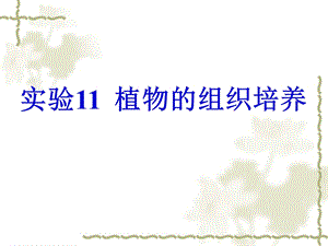 《高三生物复习资料》实验11植物的组织培养.ppt