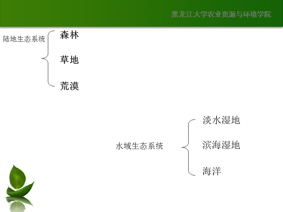 陆地生态系统和水域生态系统.ppt_第2页