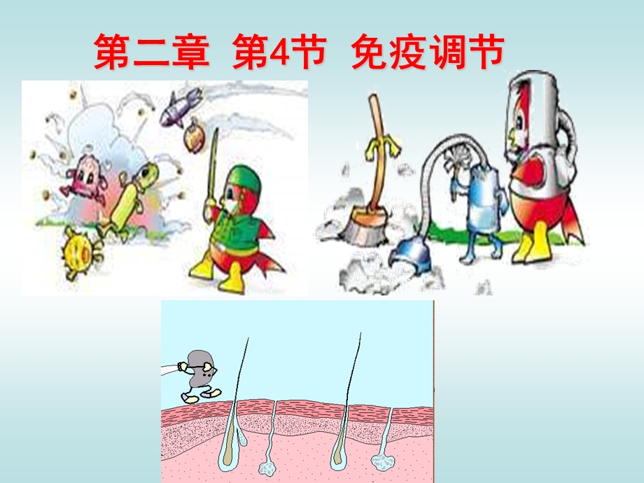 高二生物免疫调节讲.ppt_第2页