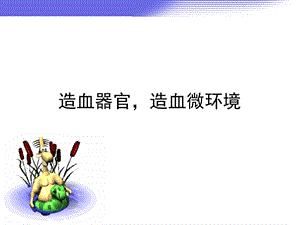 造血器官,造血微环境.ppt