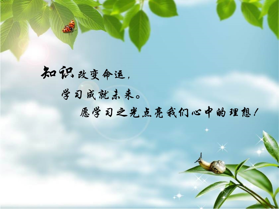 不要只做老板交代的事.ppt_第2页