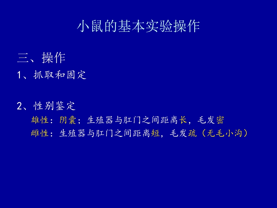 鼠的基本实验操.ppt_第3页