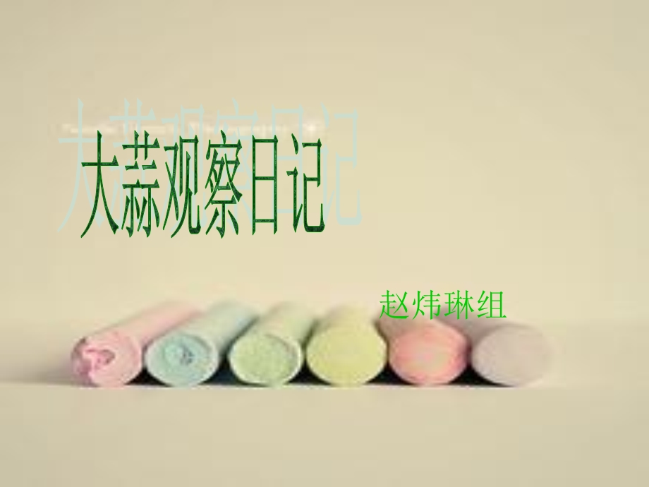 的日记赵组.ppt_第1页