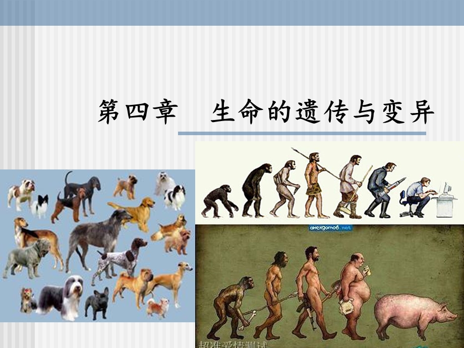 《医学生物学教学资料》4生命的遗传与变异.ppt_第1页