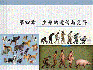 《医学生物学教学资料》4生命的遗传与变异.ppt