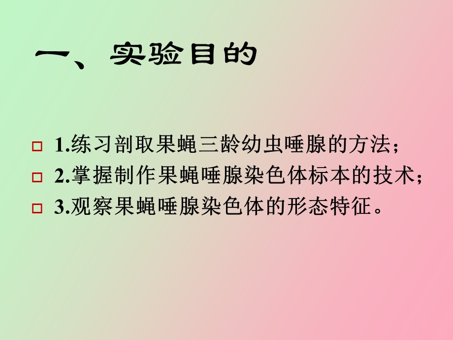 遗传学实验果蝇唾腺染色体.ppt_第2页