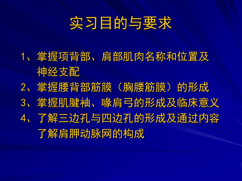 项背区、肩胛区及三角肌区解剖.ppt_第2页