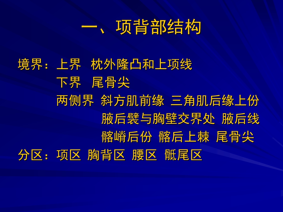 项背区、肩胛区及三角肌区解剖.ppt_第3页