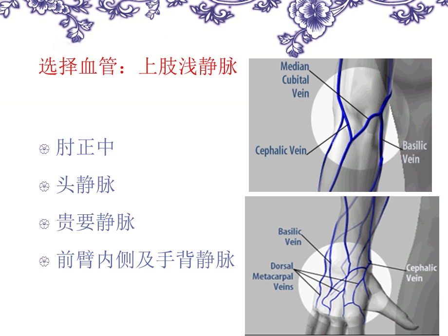 静脉采血及注意事项.ppt_第3页