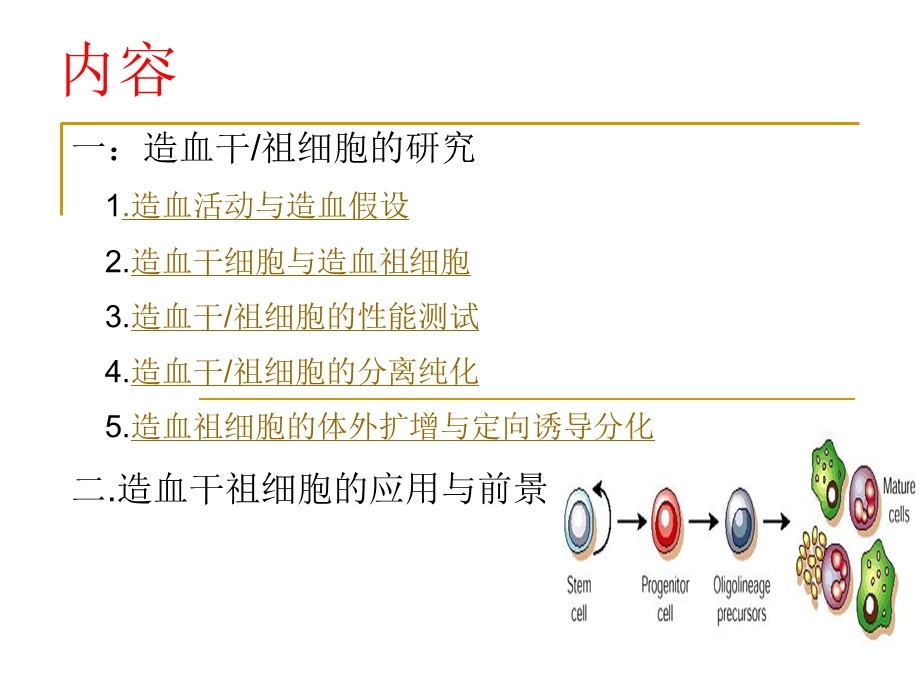 造血干细胞的研究及应用.ppt_第2页