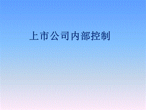 上市公司内部控制知识.ppt