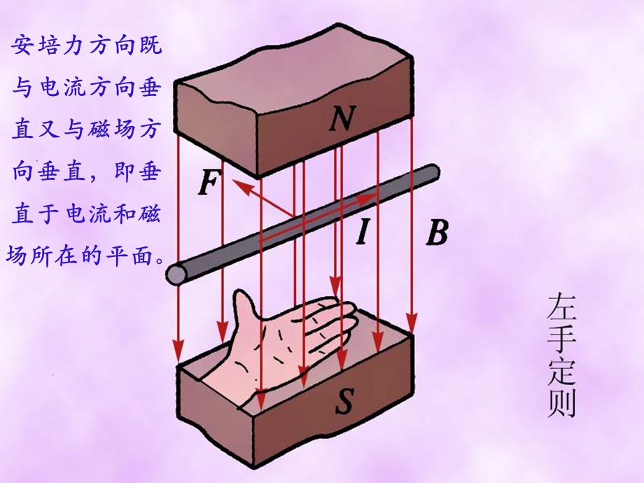 磁场对通电导线的作用力1.ppt_第3页