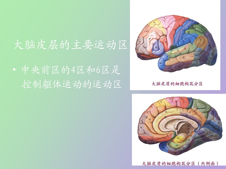 运动控制沈杰.ppt_第3页