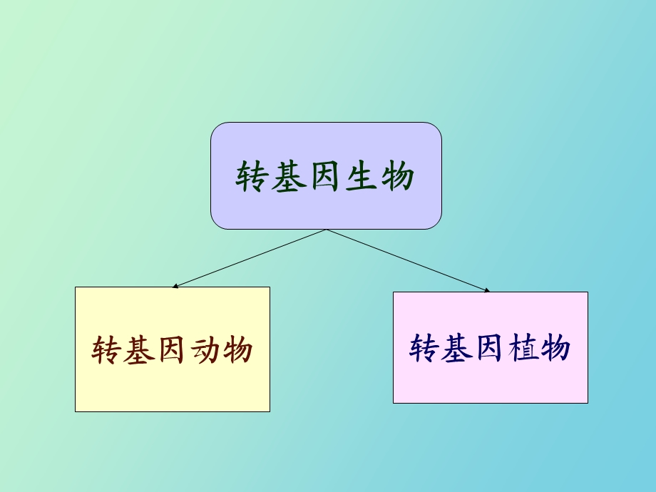 转基因生物和基因打靶.ppt_第2页