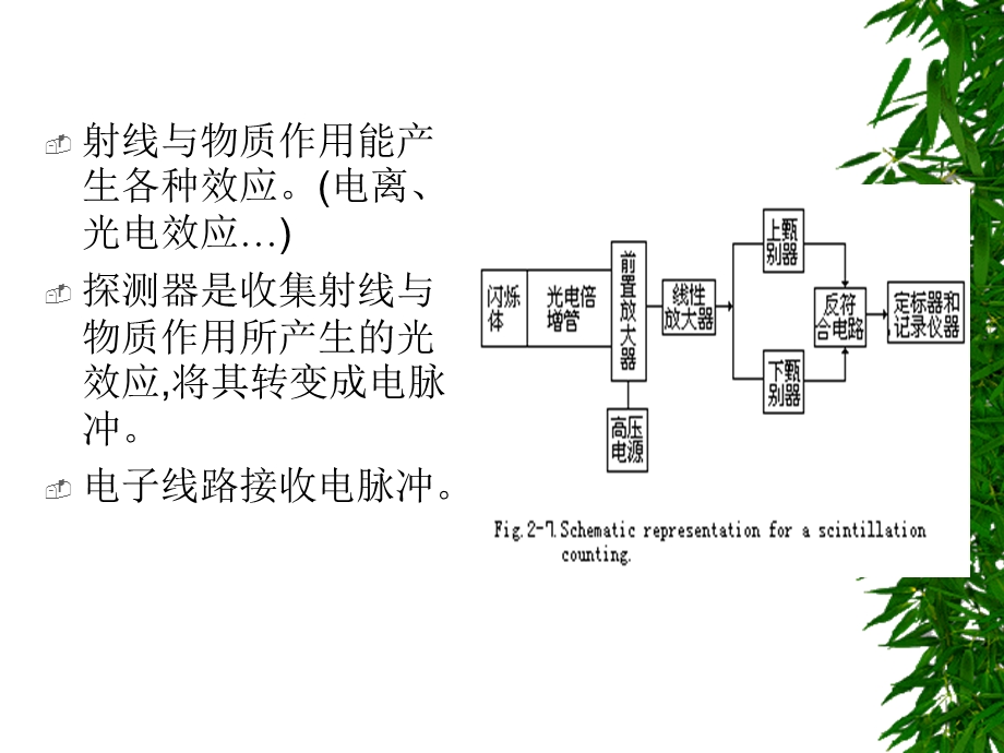 部分放射性核素的探测.ppt_第2页