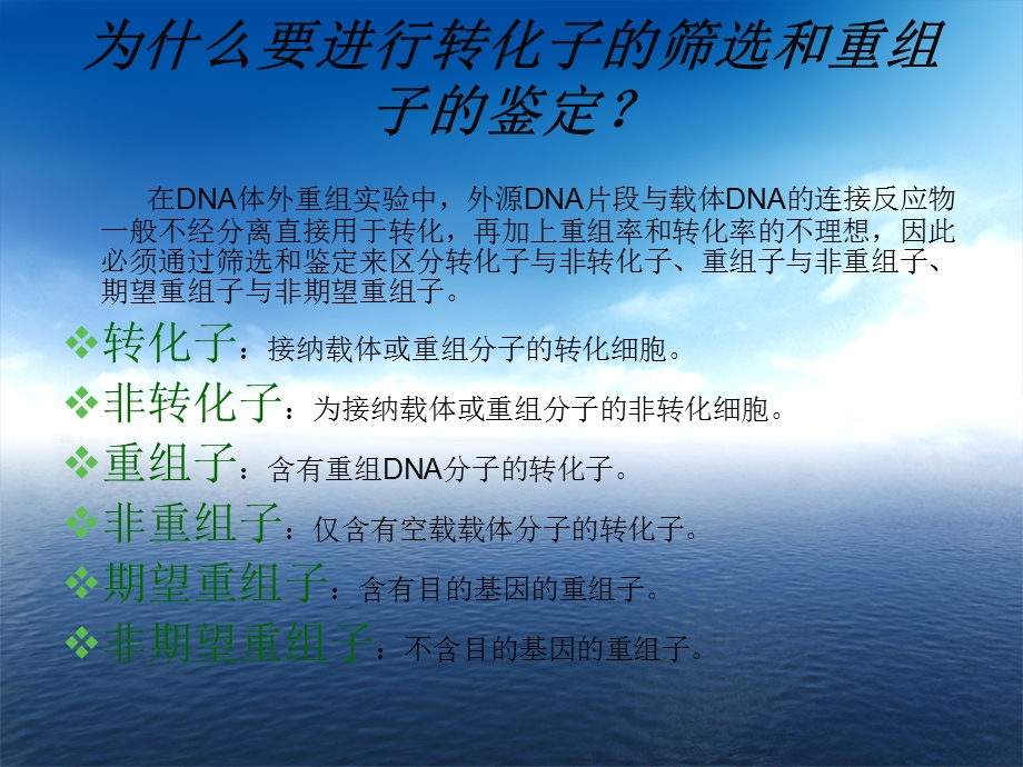 转化子的筛选与重组子的鉴定.ppt_第2页