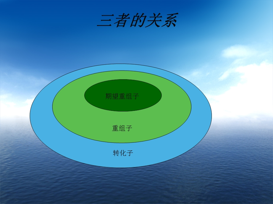 转化子的筛选与重组子的鉴定.ppt_第3页