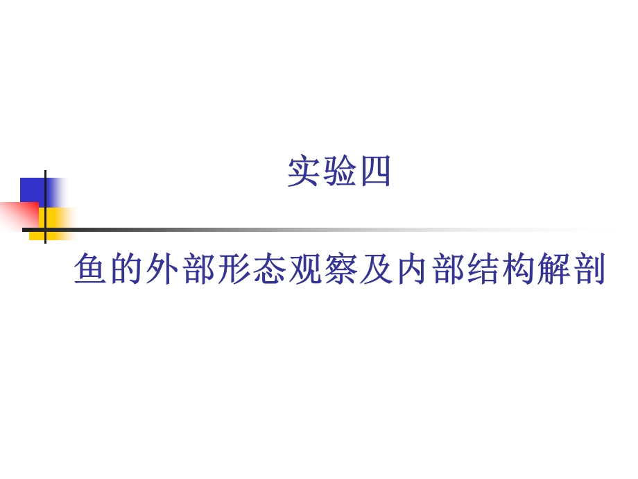 鱼的外部形态观察及内部结构解剖.ppt_第1页