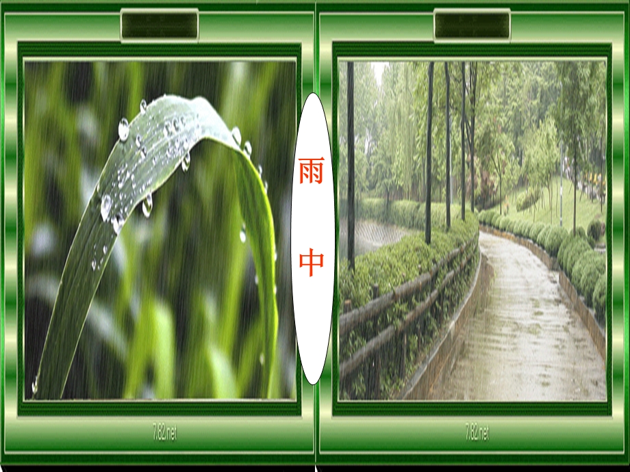 语文s版二年级下册9.雨后.ppt_第2页