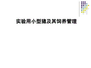 《实验动物与管理教学课件》小型猪饲养管理控制修改.ppt