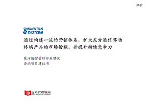 东方通信营销体系建设咨询项目建议书.ppt