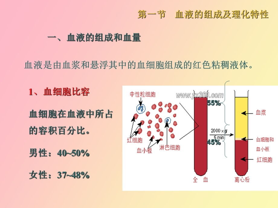 血液组成及功能.ppt_第3页