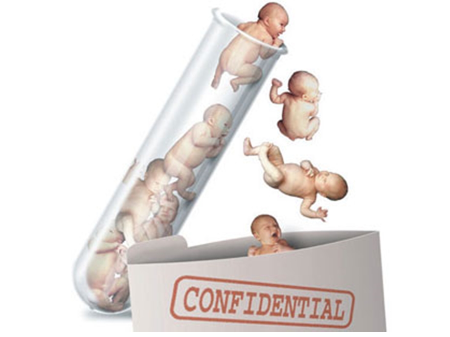讲课体内受精和早期胚胎发育.ppt_第2页