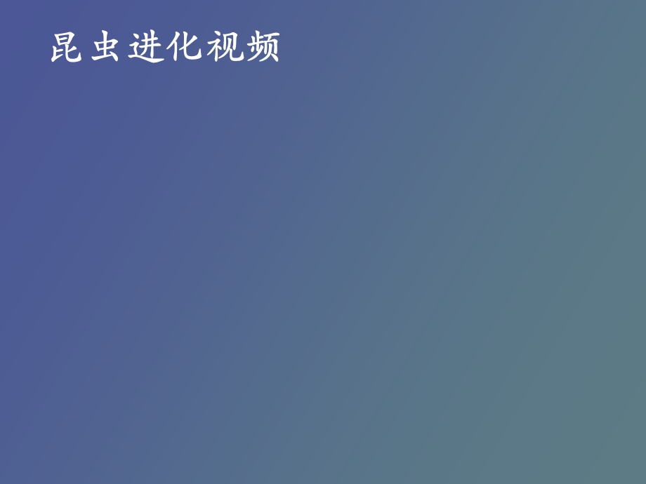 追寻昆虫的痕迹.ppt_第3页