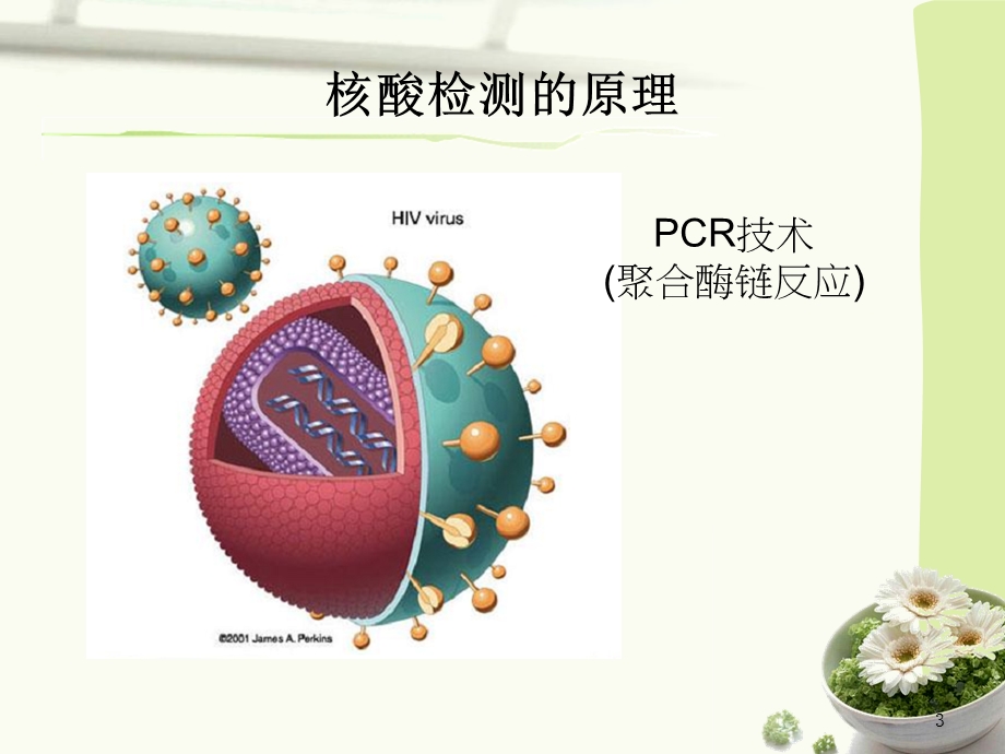 血站核酸检测标本留样培训.ppt_第3页