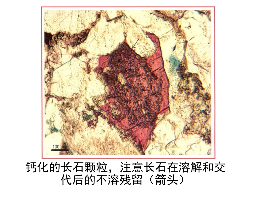 薄片和电镜的观察图片库.ppt_第3页