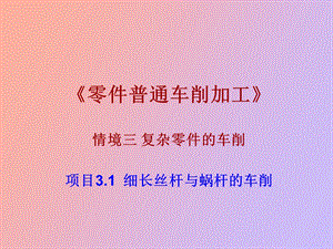 项目车细长轴.ppt