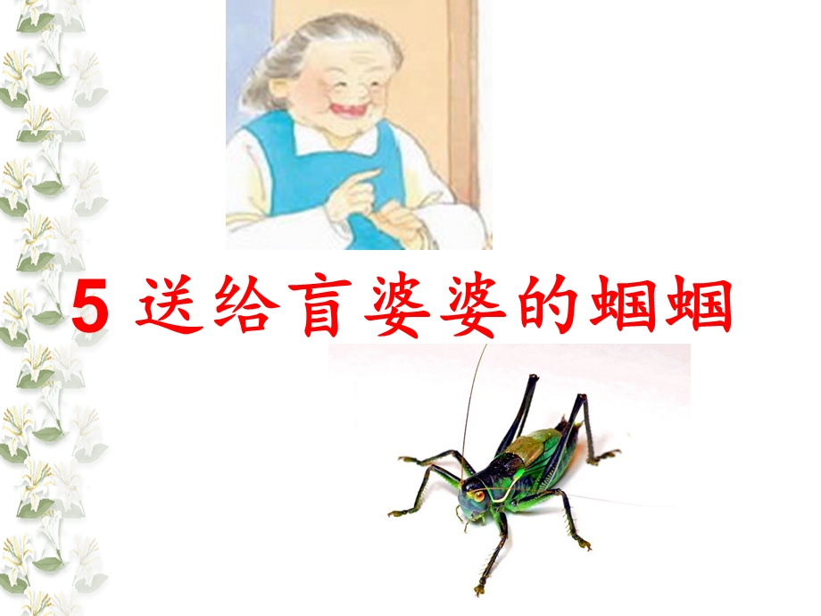 送给盲婆婆的蝈蝈课件.ppt_第2页