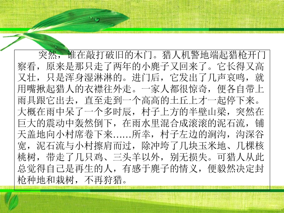 《善待生命学习论证》教学课件.ppt_第3页