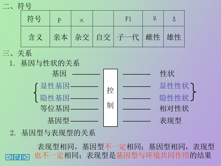 遗传的基本规律二轮Liu.ppt_第2页