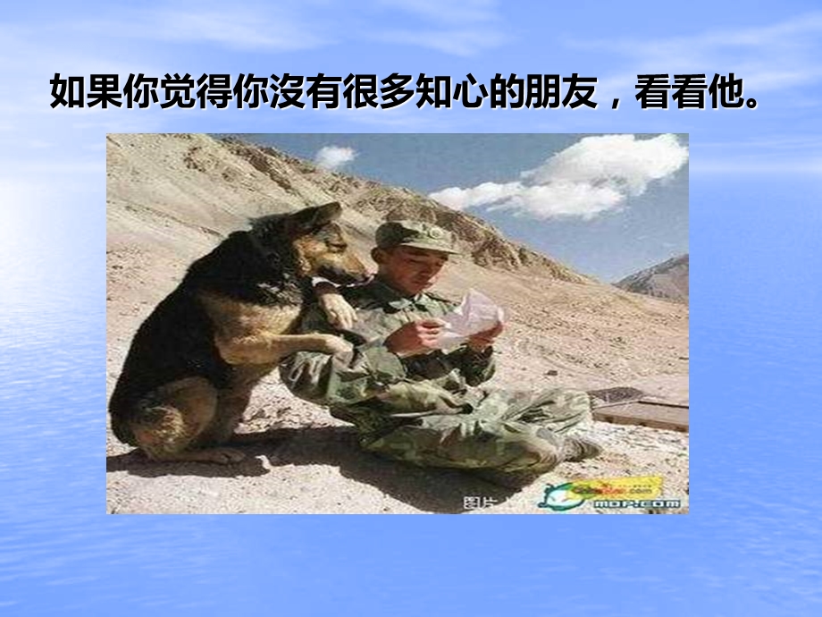 《珍惜生命和谐生命》主题班会.ppt_第3页