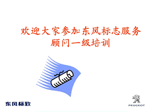 东风标致服务顾问培训.ppt