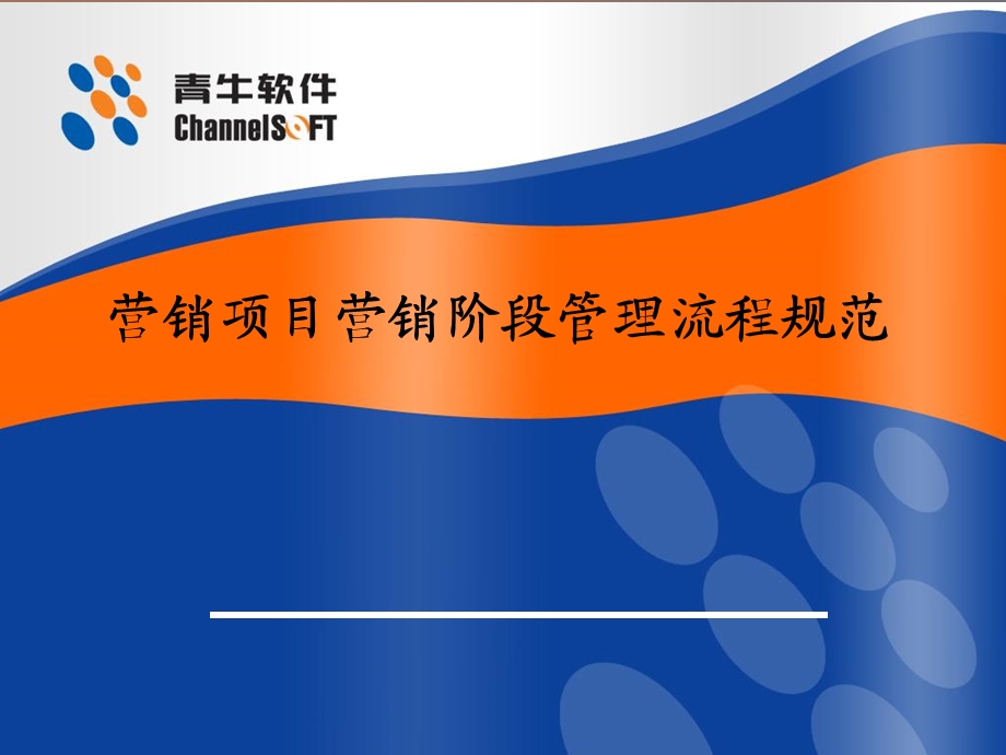 营销项目管理流程.ppt_第1页