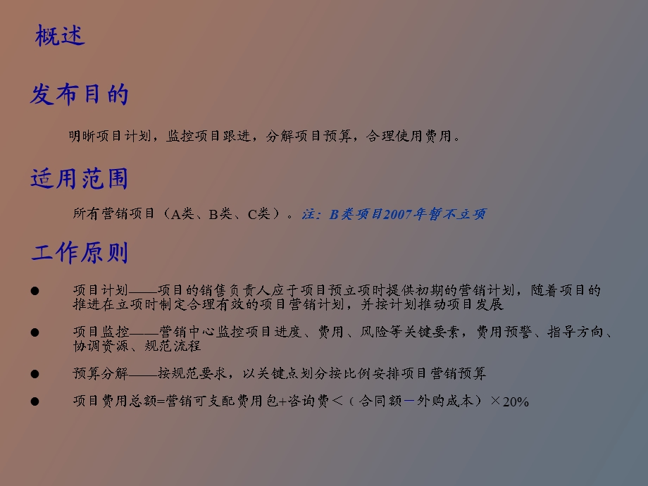 营销项目管理流程.ppt_第3页